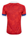 Adult Russia Euro 2020 Home Jersey