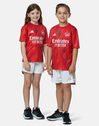 Kids Arsenal Pre-Match T-Shirt