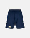 Adult Leinster Gym Shorts