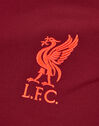 Kids Liverpool 21/22 Strike T-Shirt