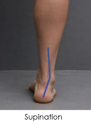 Pronation Supination