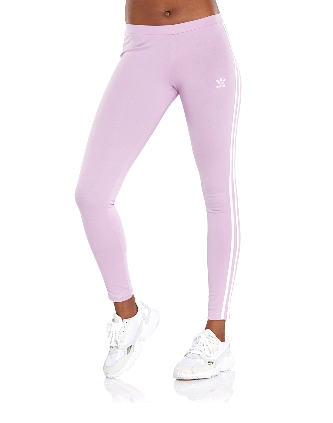 Buy Adidas women plus size pull on training leggings noble purple Online