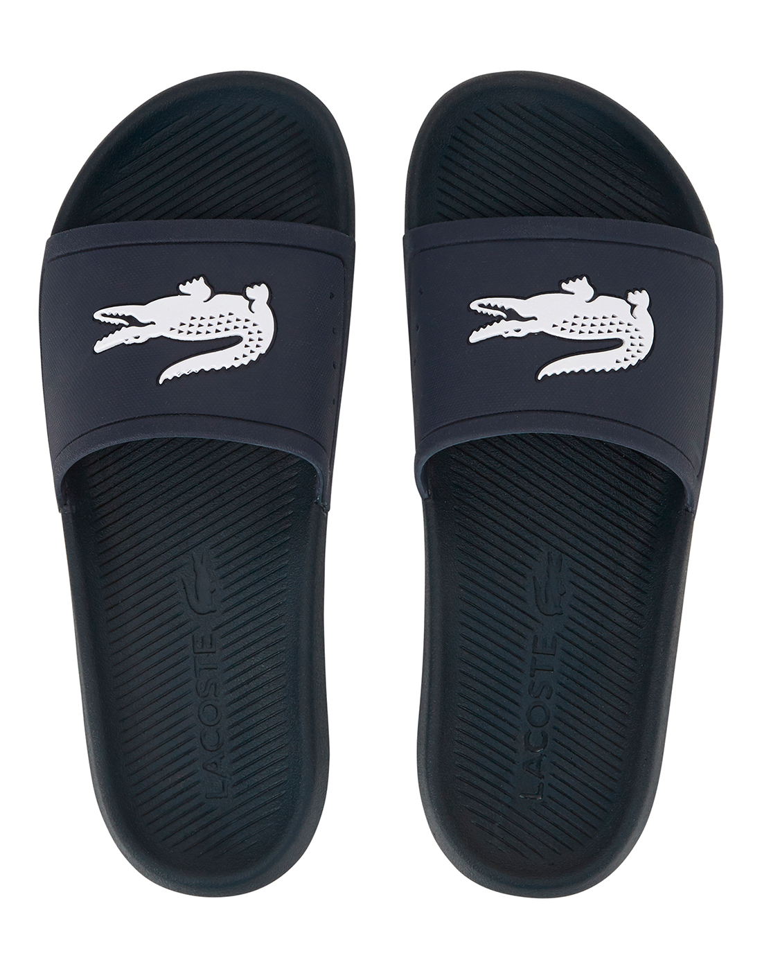 Men's Navy Lacoste Slides | Life Style Sports